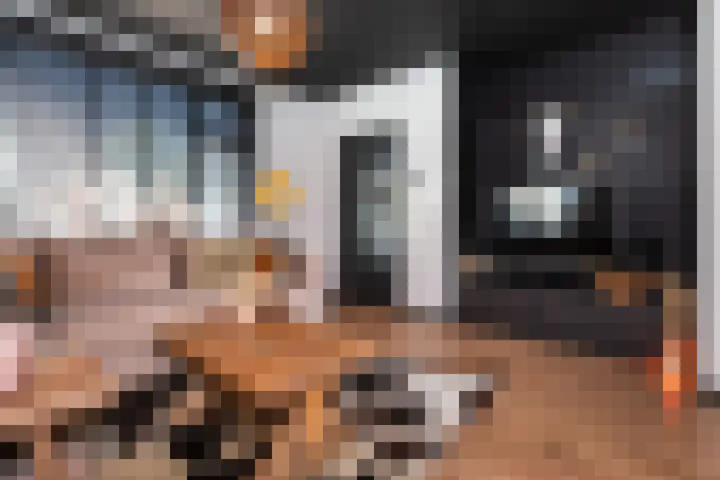 Dijkhof 18 Stad aan 't Haringvliet thumbnail 6