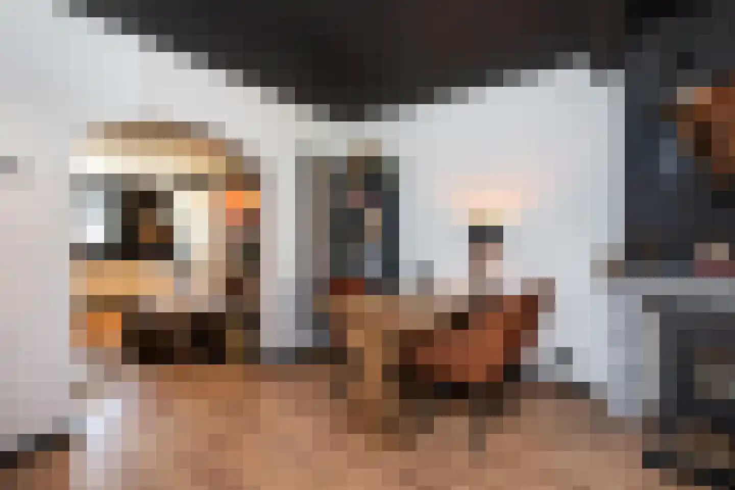 Dijkhof 18 Stad aan 't Haringvliet thumbnail 7