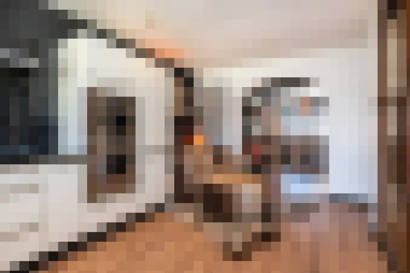 Dijkhof 18 Stad aan 't Haringvliet thumbnail 8