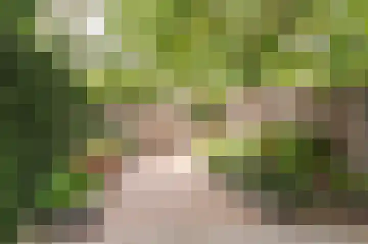Dijkhof 25 Ede thumbnail 16