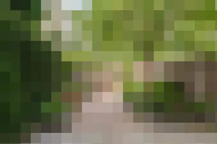 Dijkhof 25 Ede thumbnail 17