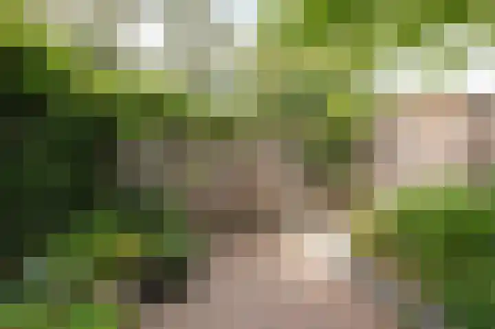 Dijkhof 25 Ede thumbnail 18
