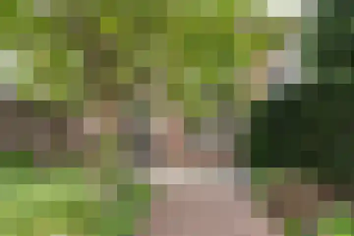Dijkhof 25 Ede thumbnail 20