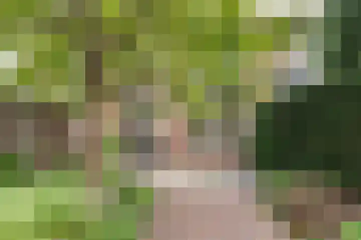 Dijkhof 25 Ede thumbnail 21