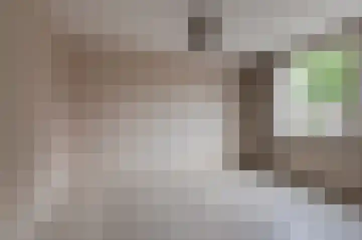 Dijkhof 25 Ede thumbnail 23