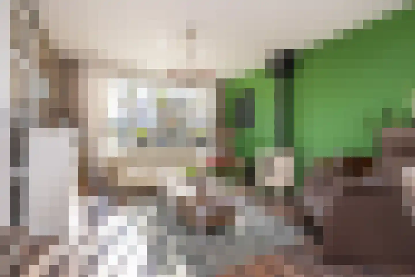 Dijkhof 27 Stad aan 't Haringvliet thumbnail 11