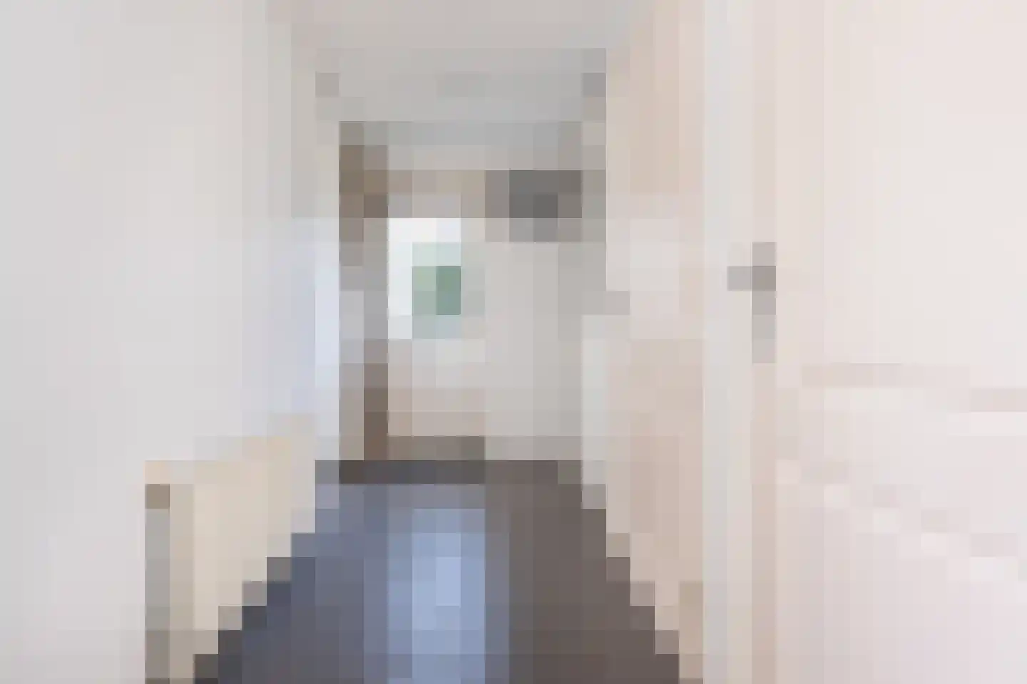 Dijkhof 27 Stad aan 't Haringvliet thumbnail 12