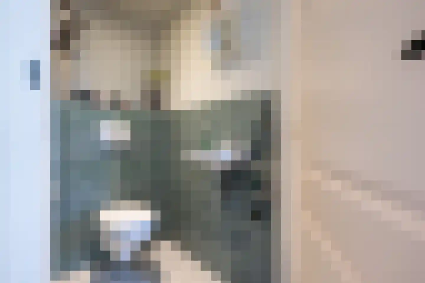 Dijkhof 27 Stad aan 't Haringvliet thumbnail 17