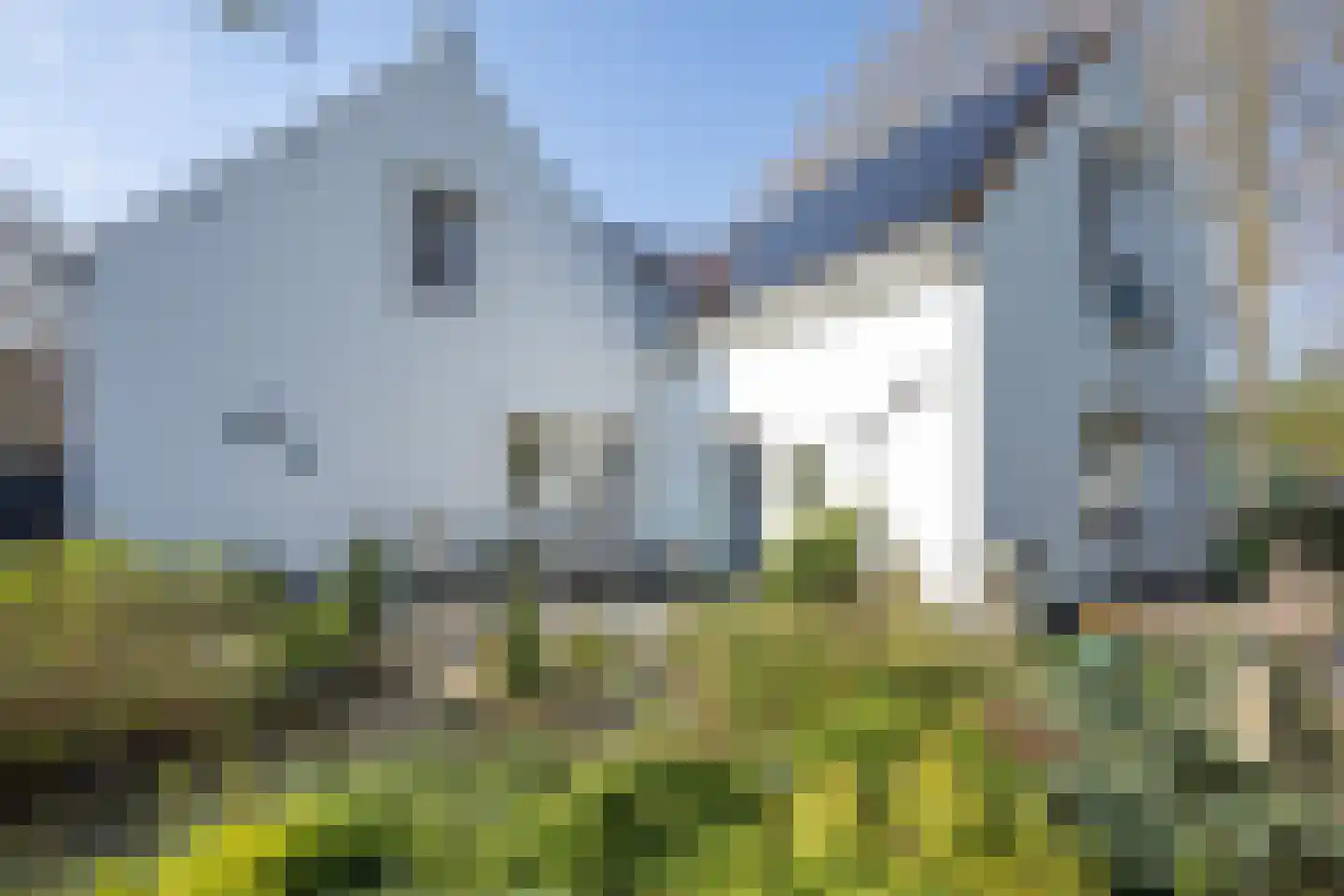 Dijkhof 27 Stad aan 't Haringvliet foto 2