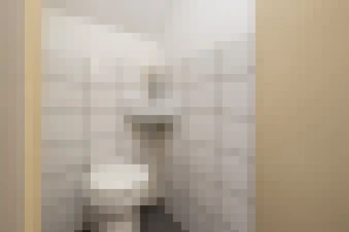 Dijkhof 27 Stad aan 't Haringvliet thumbnail 23