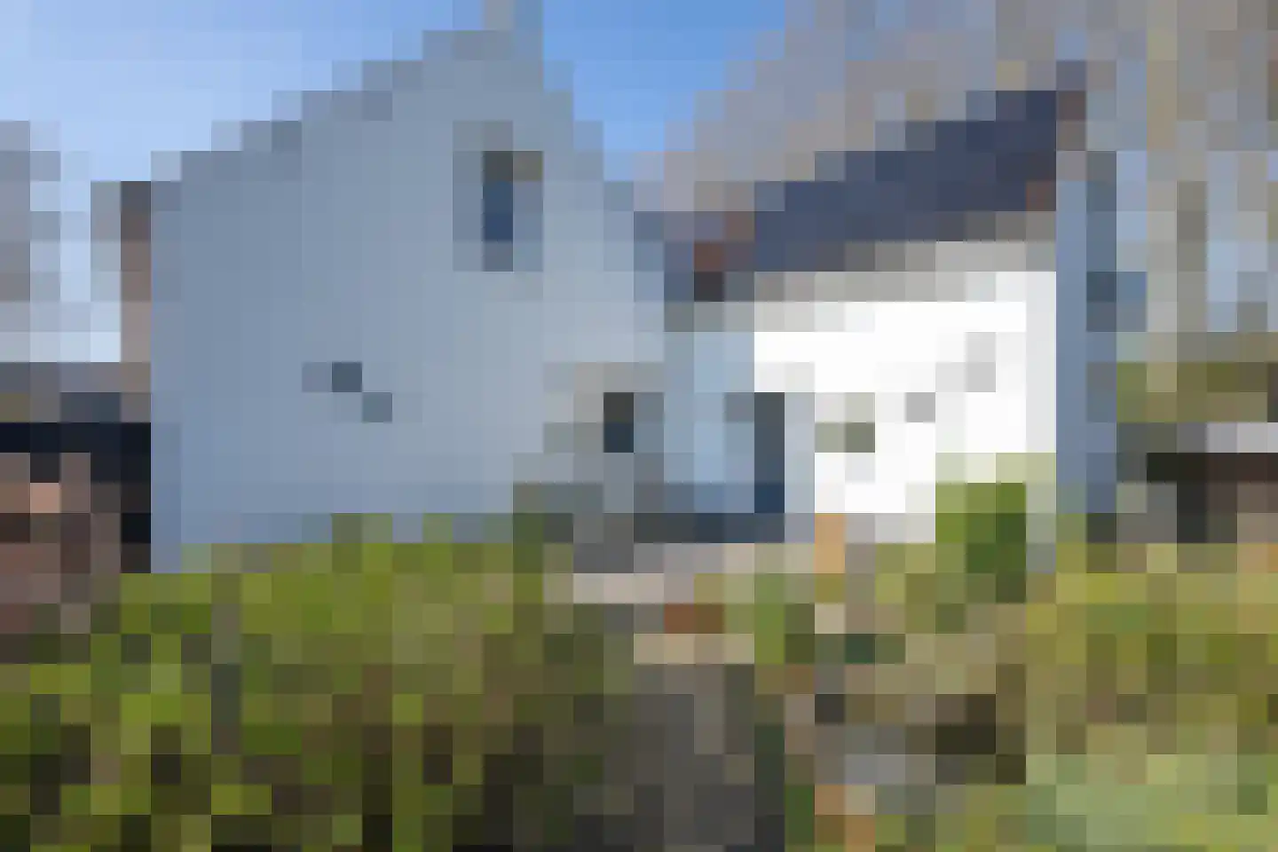 Dijkhof 27 Stad aan 't Haringvliet thumbnail 31