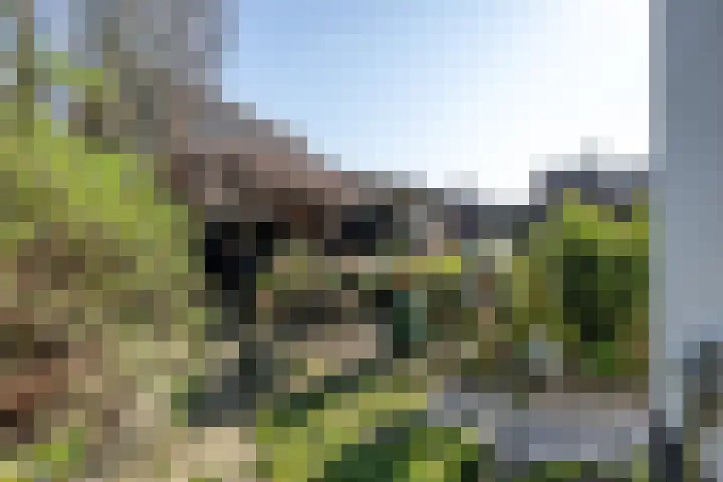 Dijkhof 27 Stad aan 't Haringvliet thumbnail 33