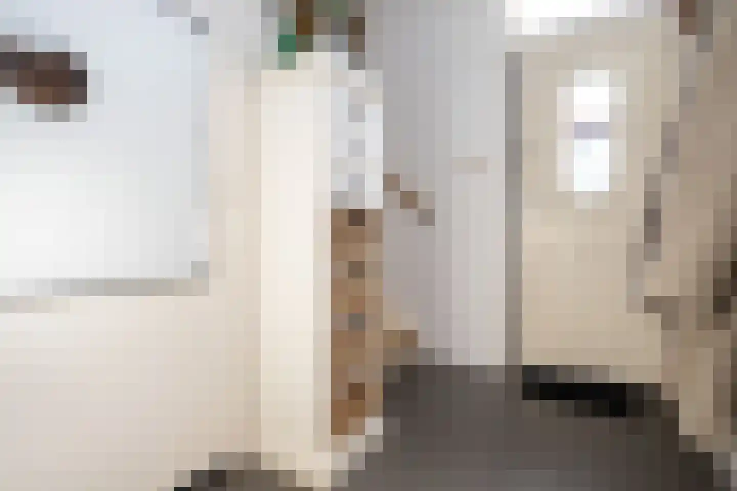 Dijkhof 27 Stad aan 't Haringvliet thumbnail 4