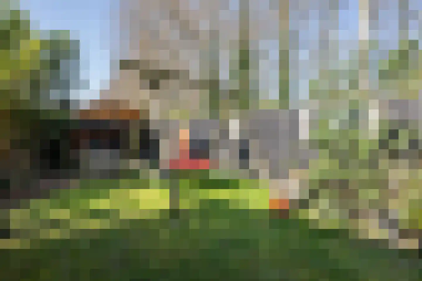 Dijkhof 27 Stad aan 't Haringvliet thumbnail 42