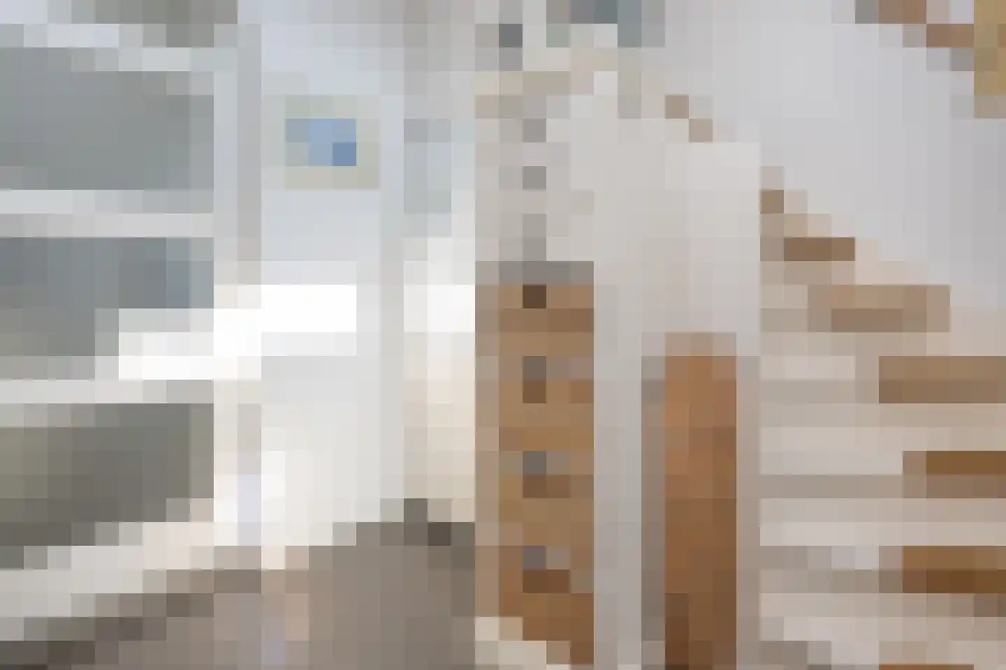 Dijkhof 27 Stad aan 't Haringvliet thumbnail 5