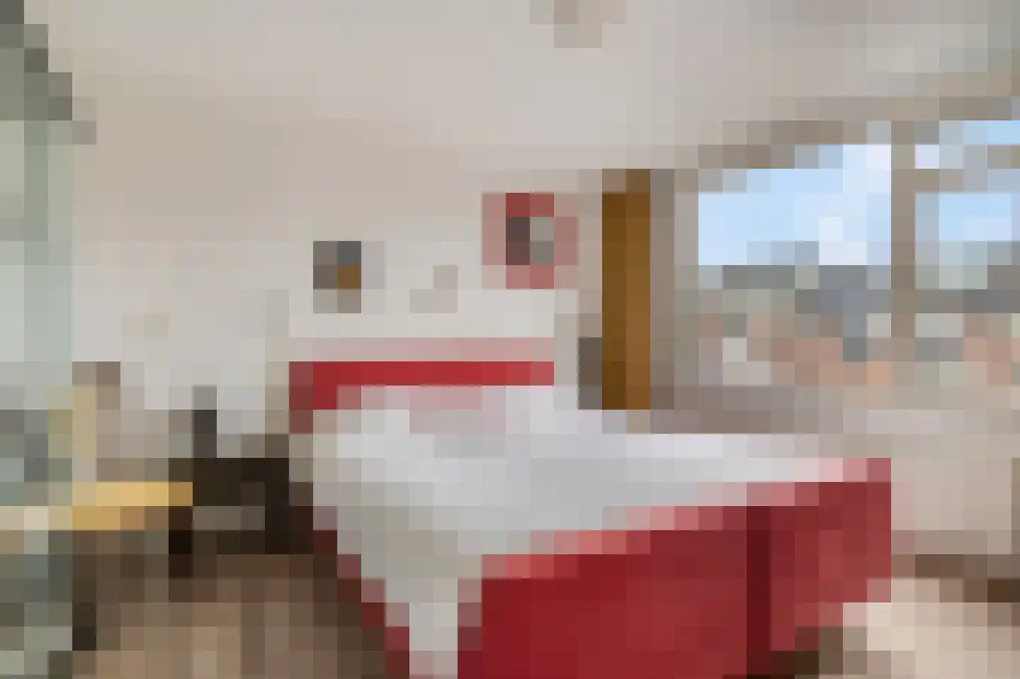 Dijkhof 49 Ede thumbnail 14