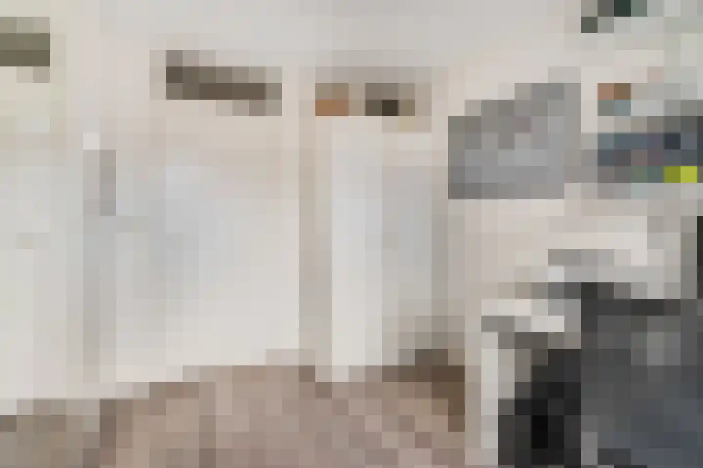 Dijkhof 49 Ede thumbnail 21