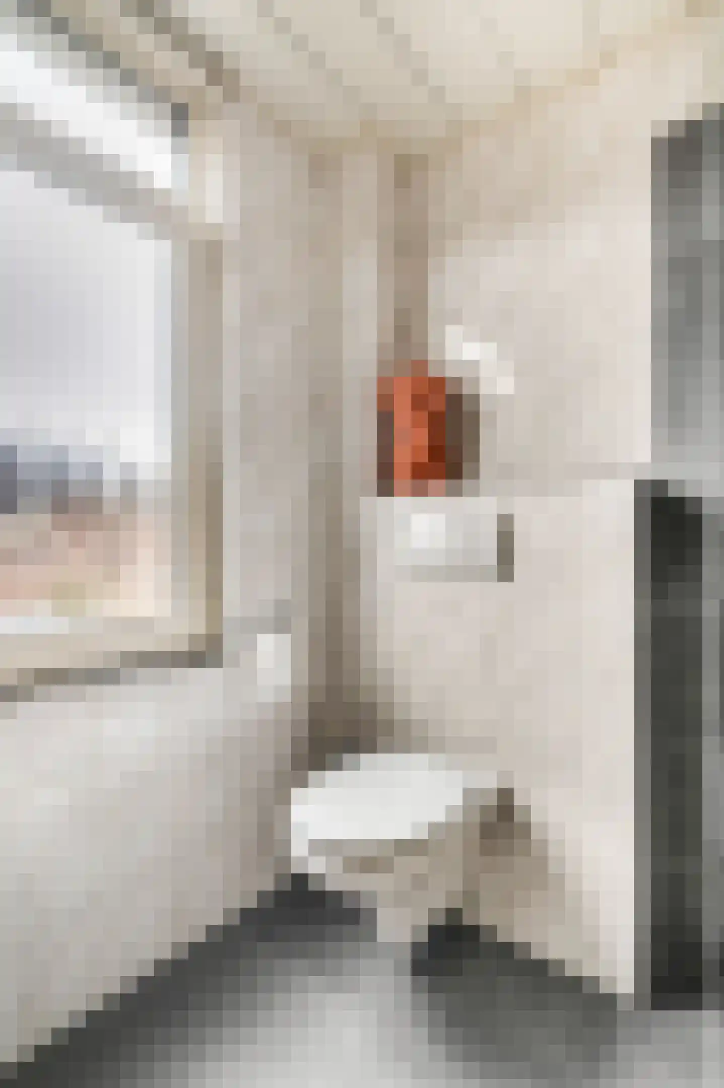 Dijkhof 49 Ede thumbnail 25