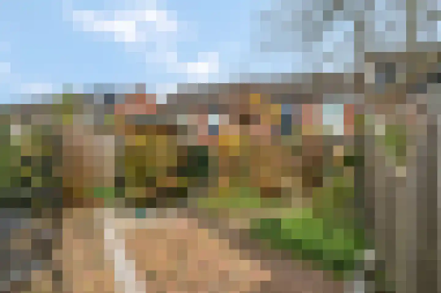 Dijkhof 49 Ede thumbnail 30