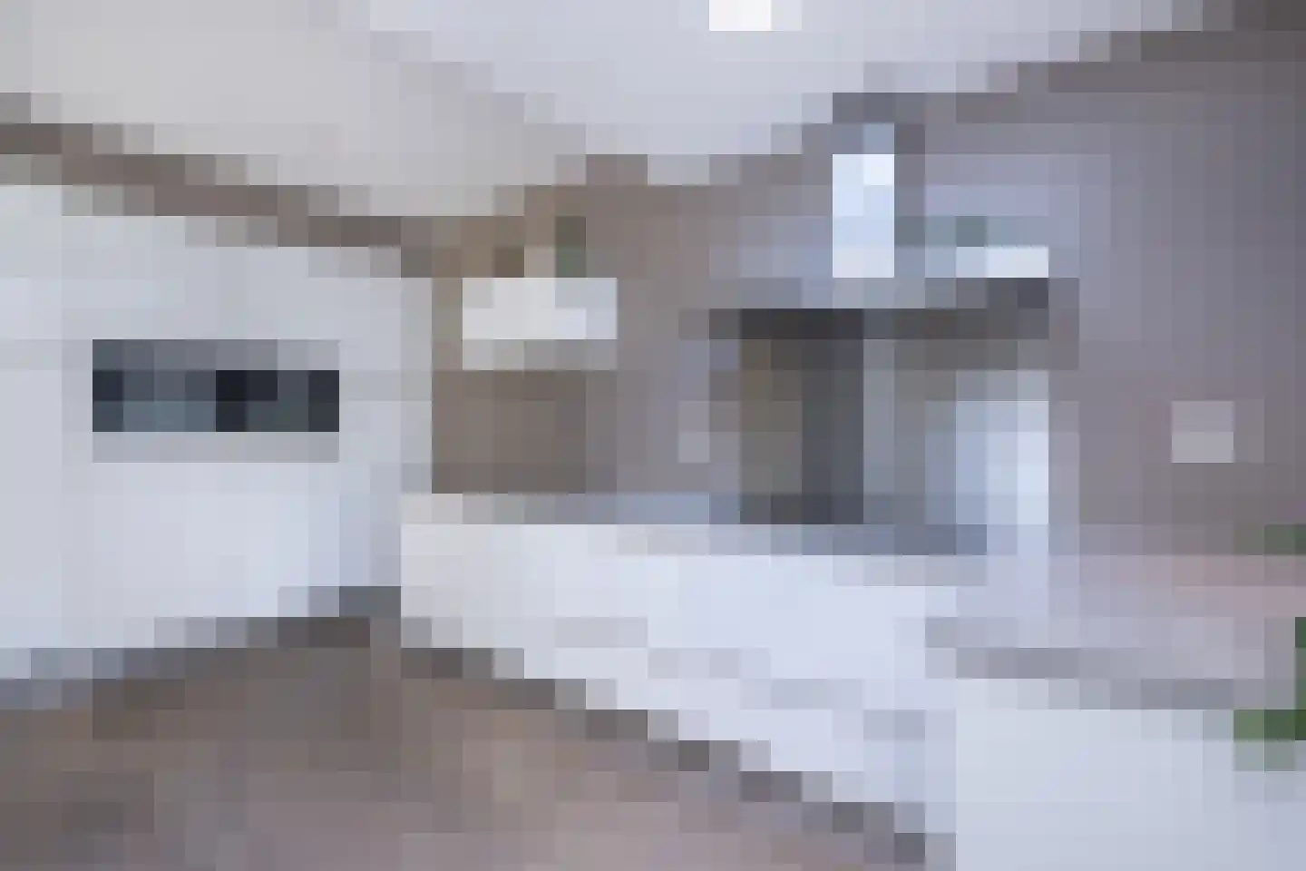 Dijkhof 8 Stad aan 't Haringvliet thumbnail 13