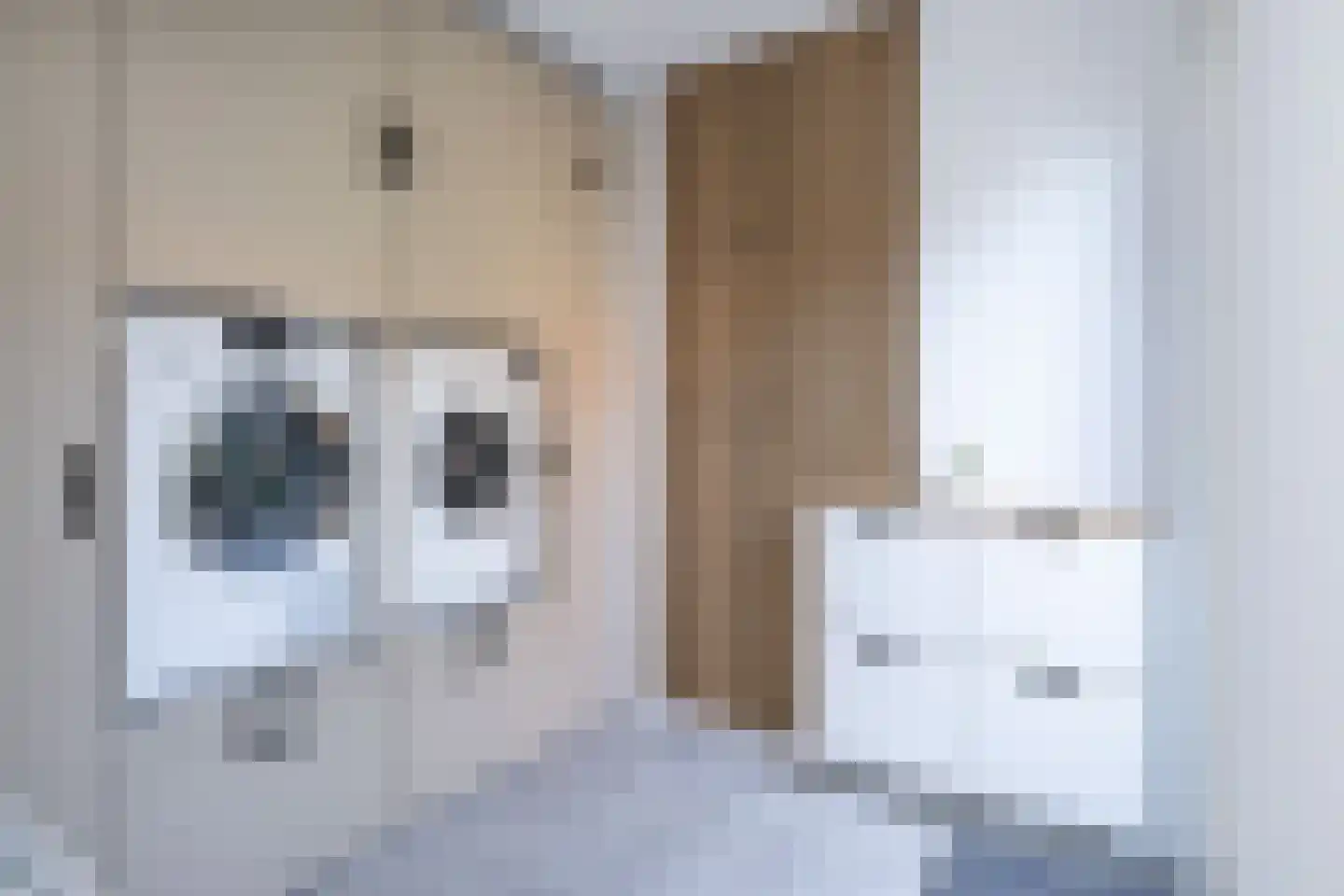Dijkhof 8 Stad aan 't Haringvliet thumbnail 17