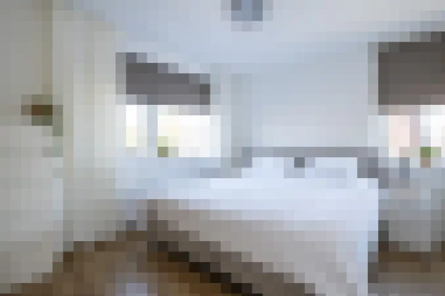 Dijkhof 8 Stad aan 't Haringvliet thumbnail 19