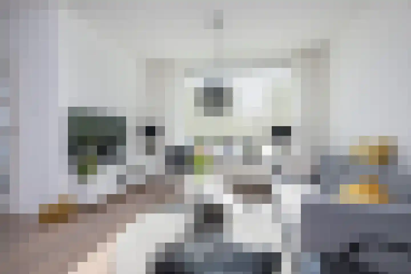 Dijkhof 8 Stad aan 't Haringvliet foto 2