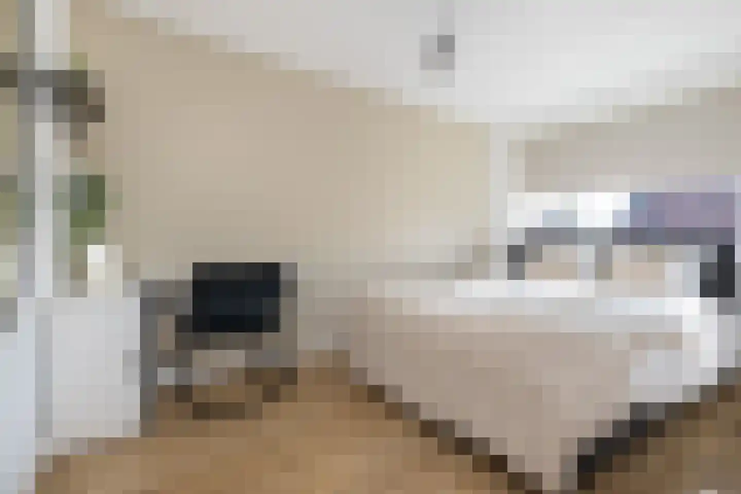 Dijkhof 8 Stad aan 't Haringvliet thumbnail 21