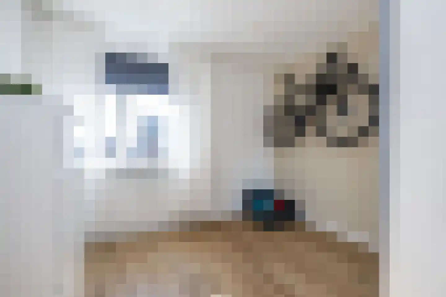 Dijkhof 8 Stad aan 't Haringvliet thumbnail 22