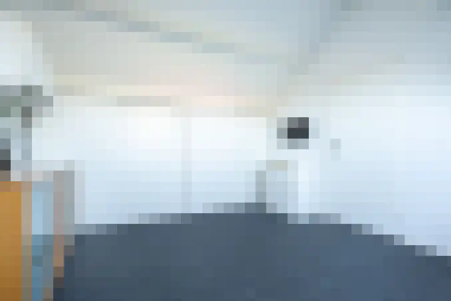 Dijkhof 8 Stad aan 't Haringvliet thumbnail 28