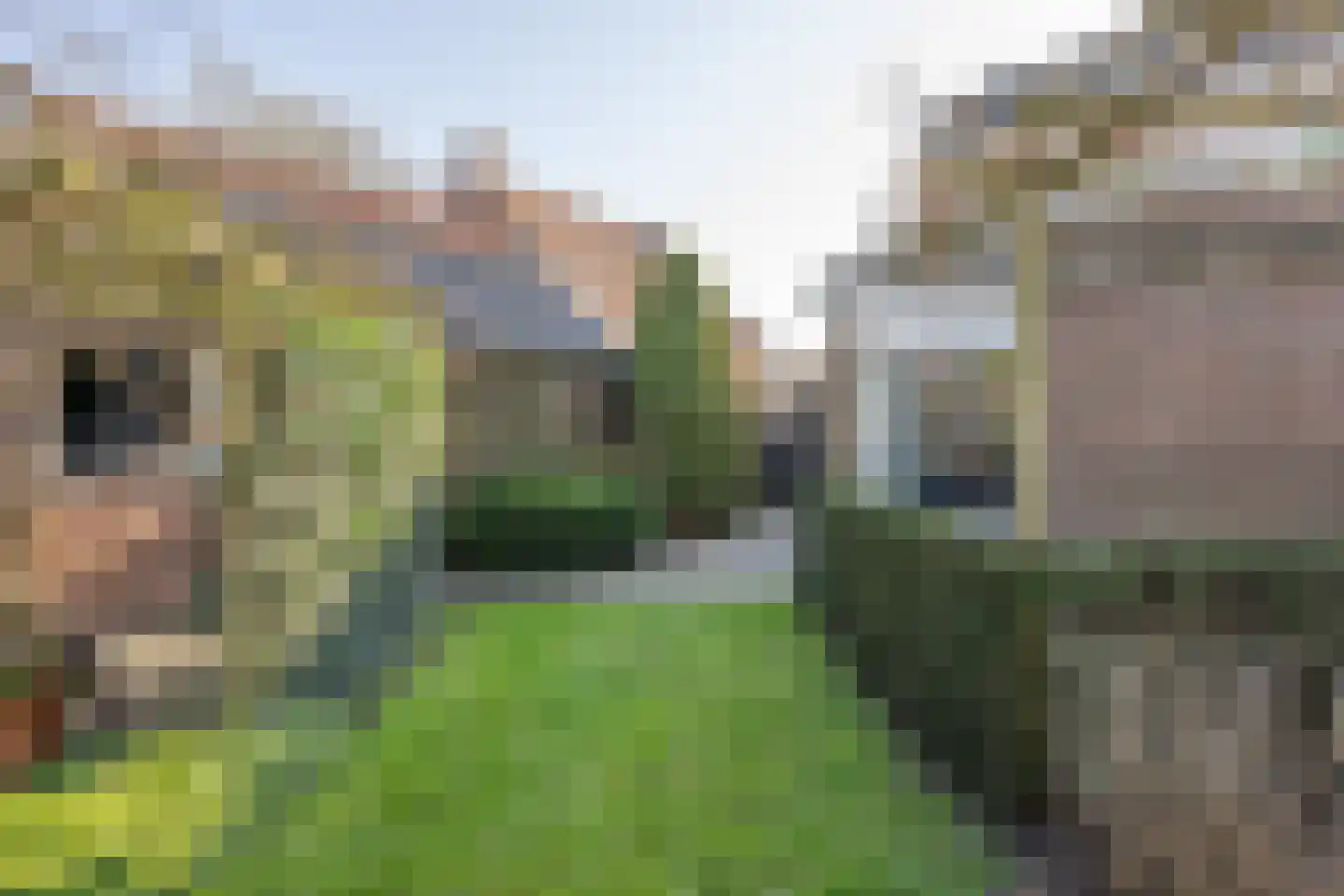 Dijkhof 8 Stad aan 't Haringvliet thumbnail 32