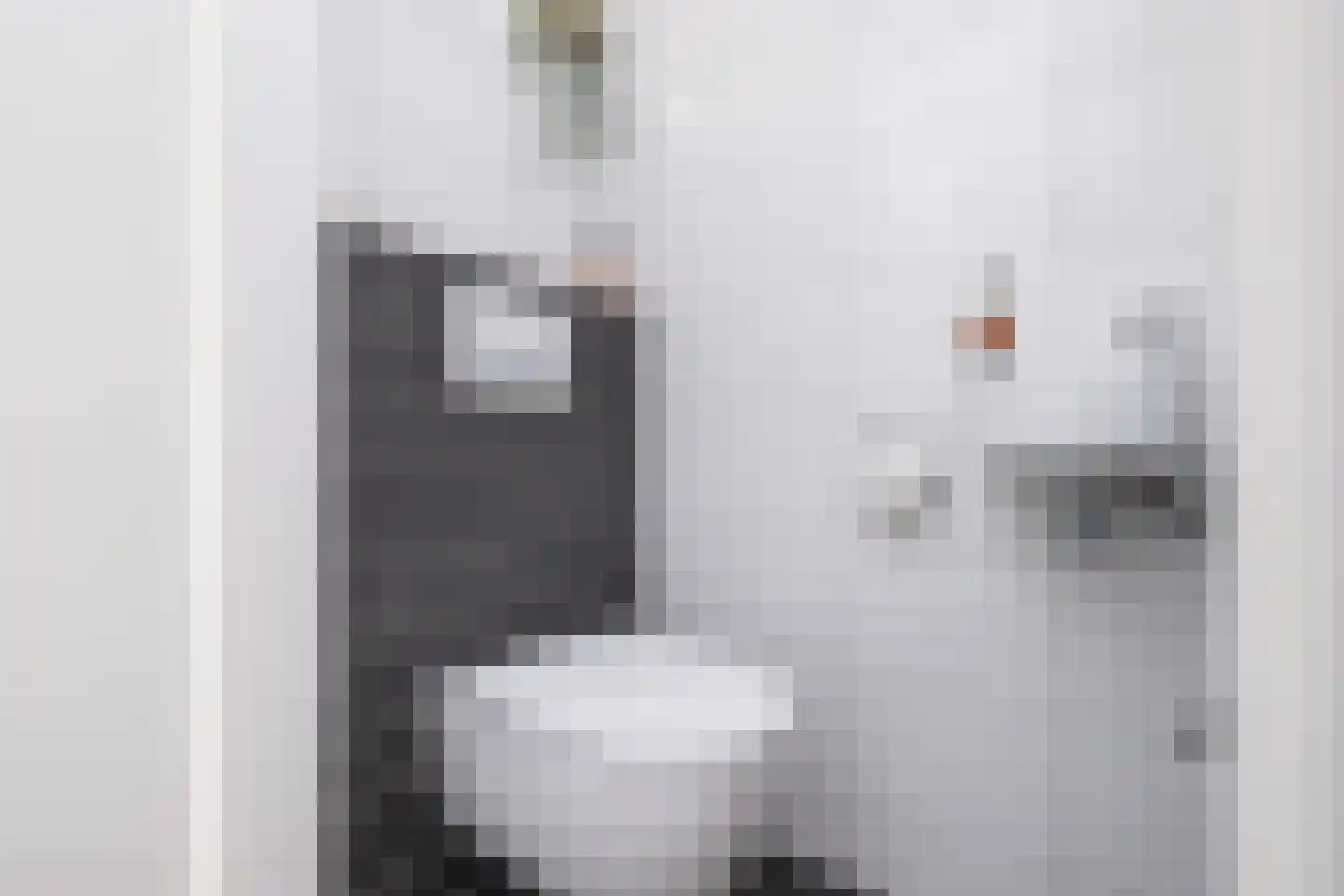 Dijkhof 8 Stad aan 't Haringvliet thumbnail 7
