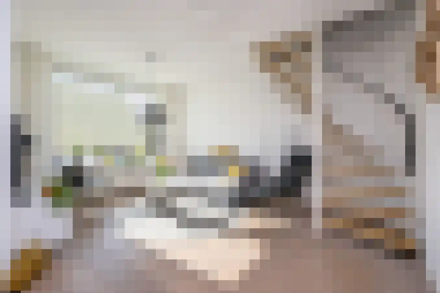 Dijkhof 8 Stad aan 't Haringvliet thumbnail 8