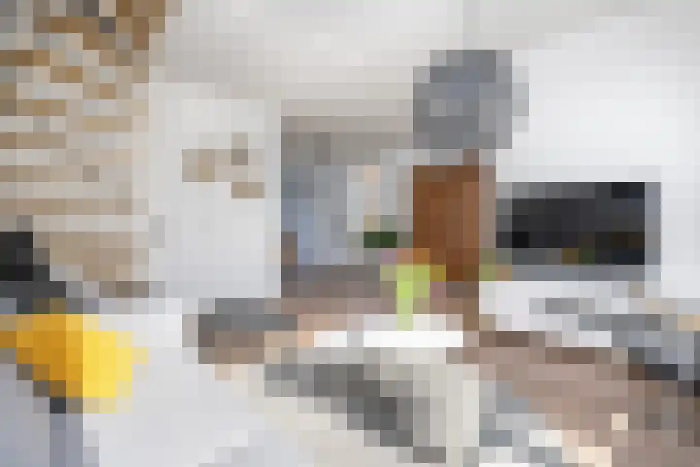Dijkhof 8 Stad aan 't Haringvliet thumbnail 9