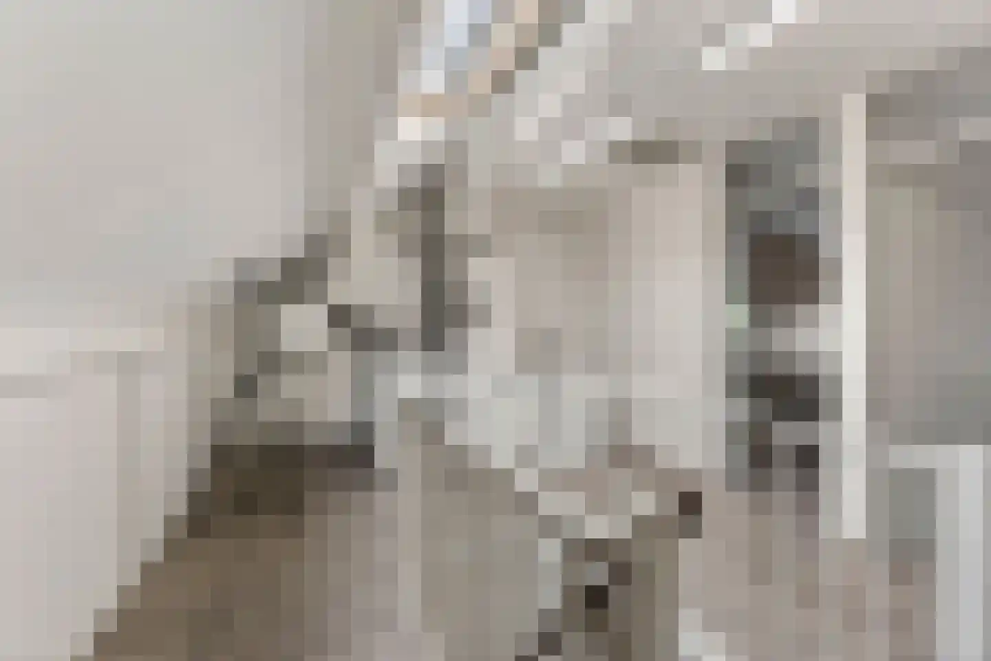Dijkhof 87 Ede thumbnail 21