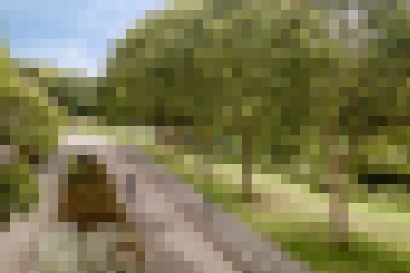 Dijkhoflaan 139 Leiden thumbnail 21
