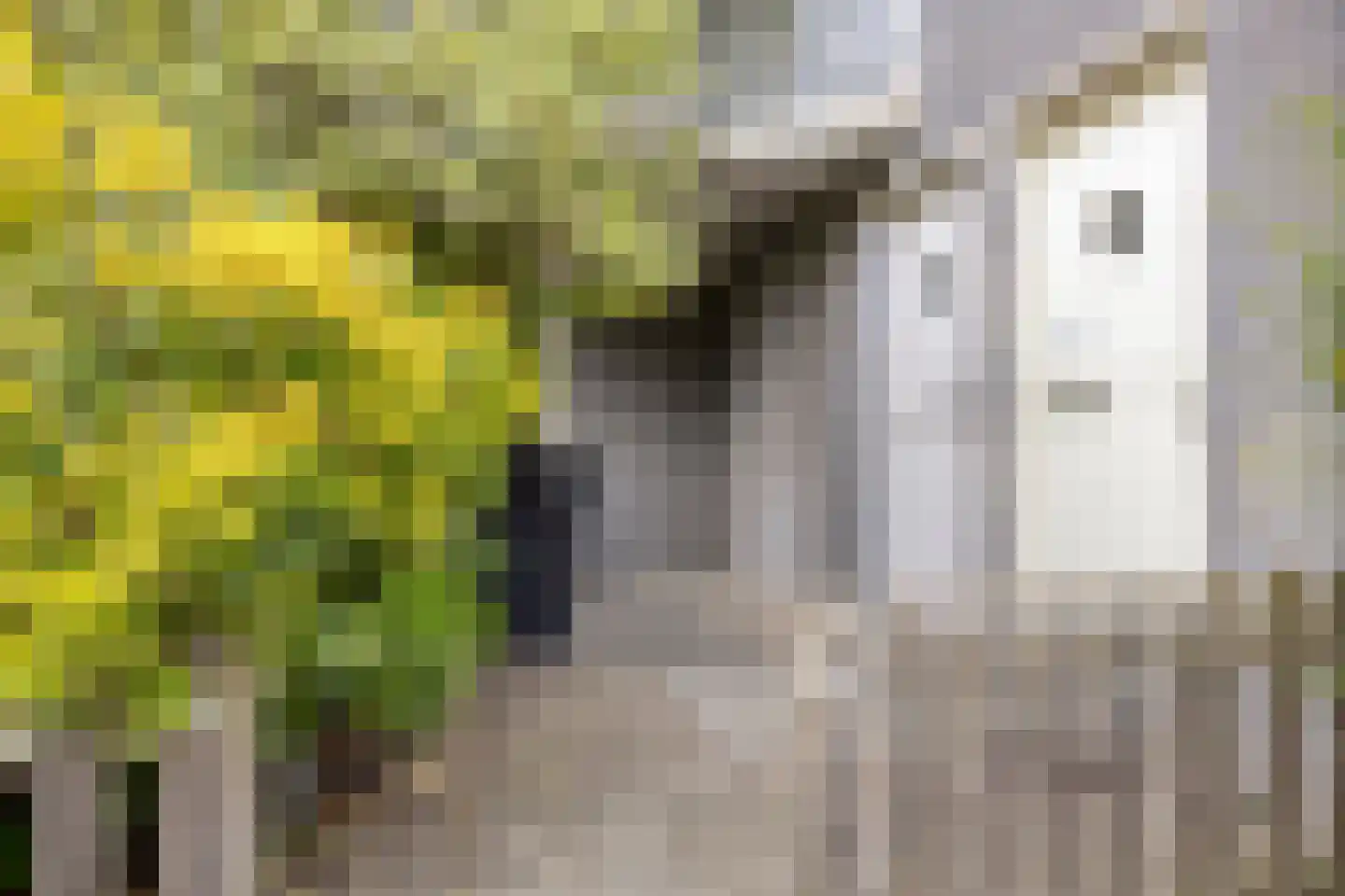 Dijkhoflaan 139 Leiden thumbnail 24