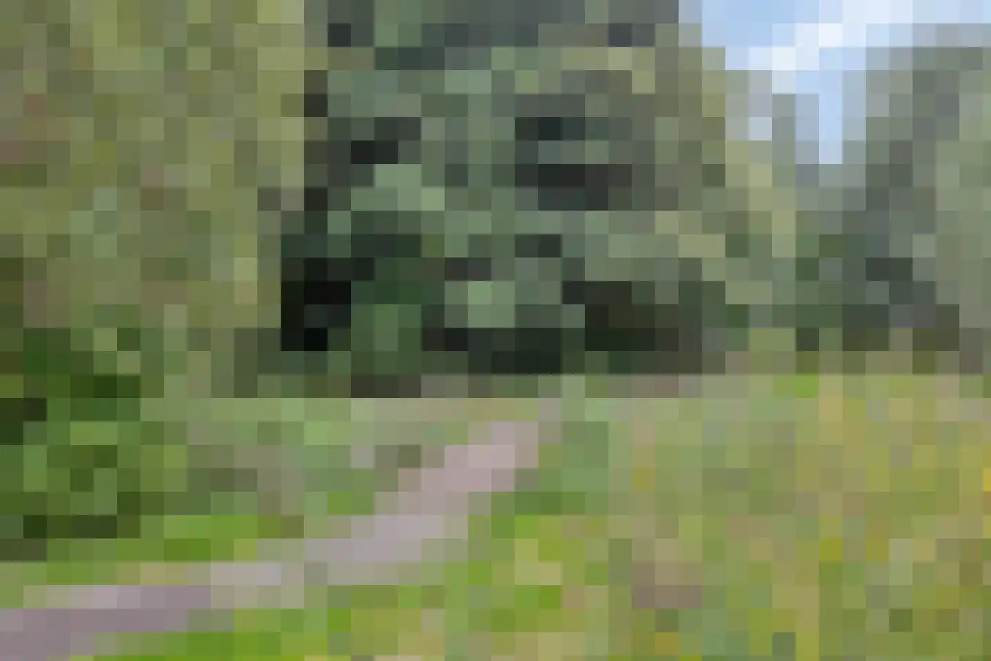 Dijkhoflaan 139 Leiden thumbnail 27