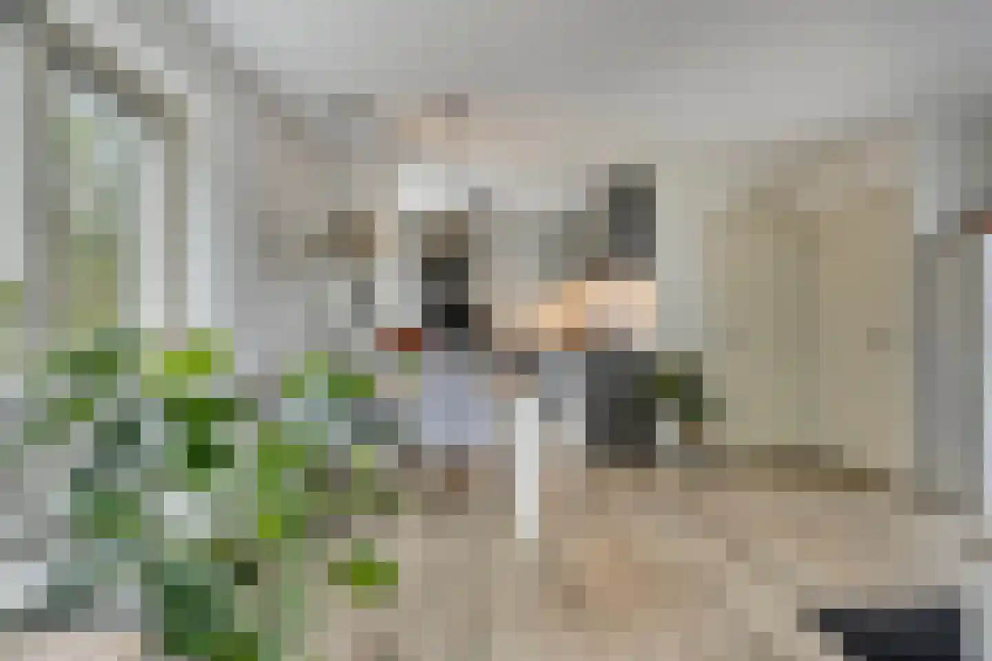 Dijkhoflaan 139 Leiden thumbnail 6