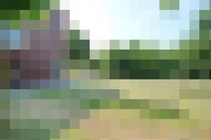 Dijkhorstheem 35 Veenendaal thumbnail 35