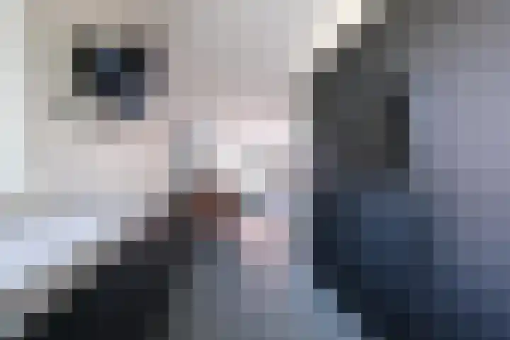 Dijkhorstheem 35 Veenendaal thumbnail 9