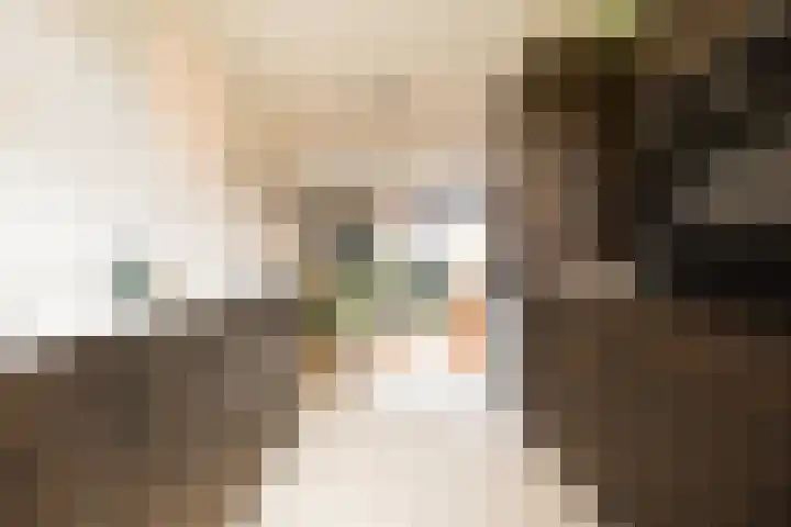 Dijkhorstheem 45 Veenendaal thumbnail 10