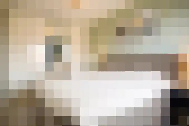 Dijkhorstheem 45 Veenendaal thumbnail 14