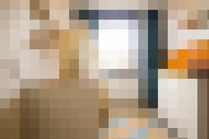 Dijkhorstheem 45 Veenendaal thumbnail 17