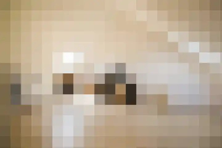 Dijkhorstheem 45 Veenendaal thumbnail 23