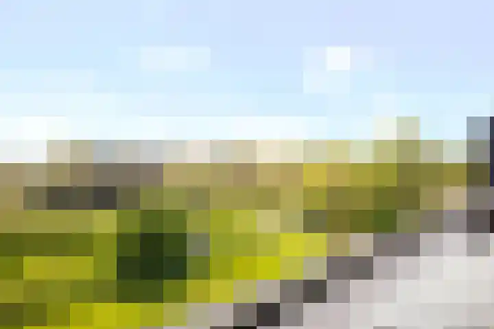 Dijkhorstheem 45 Veenendaal thumbnail 24