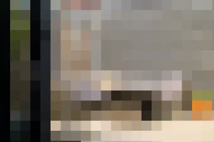 Dijkhorstheem 45 Veenendaal thumbnail 25