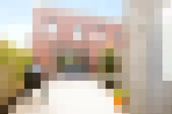 Dijkhorstheem 45 Veenendaal thumbnail 28