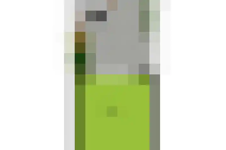 Dijkhorstheem 45 Veenendaal thumbnail 34