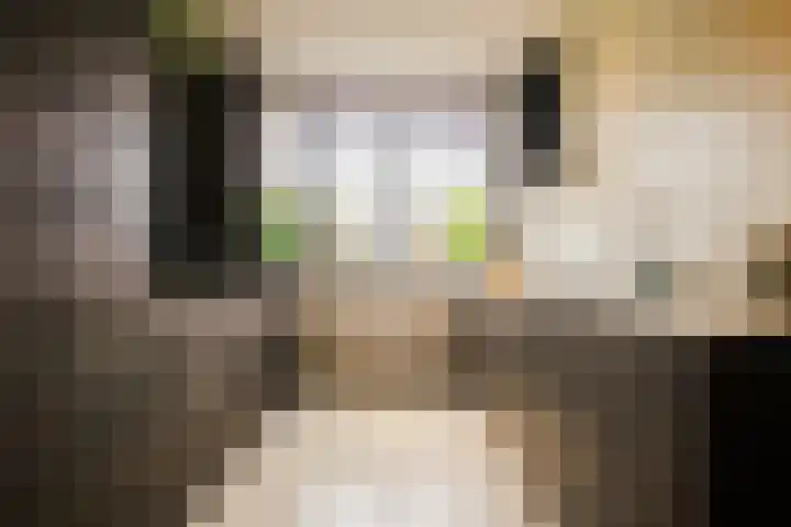 Dijkhorstheem 45 Veenendaal thumbnail 8